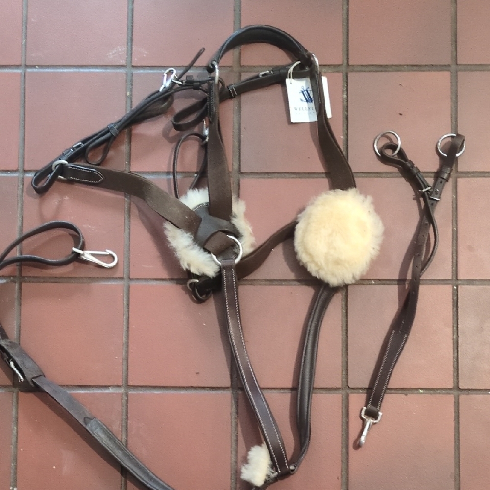 Wellfleet Brown Leather Horse breastplate 5 point